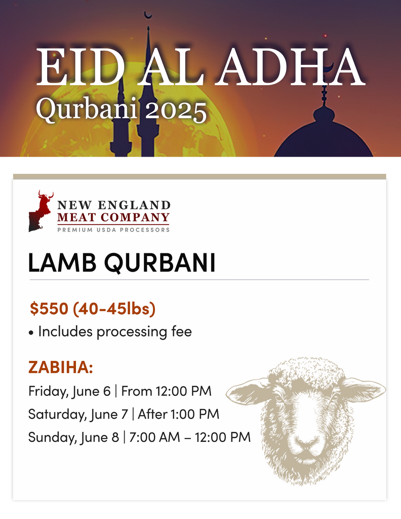 Halal Qurbani Whole Lamb